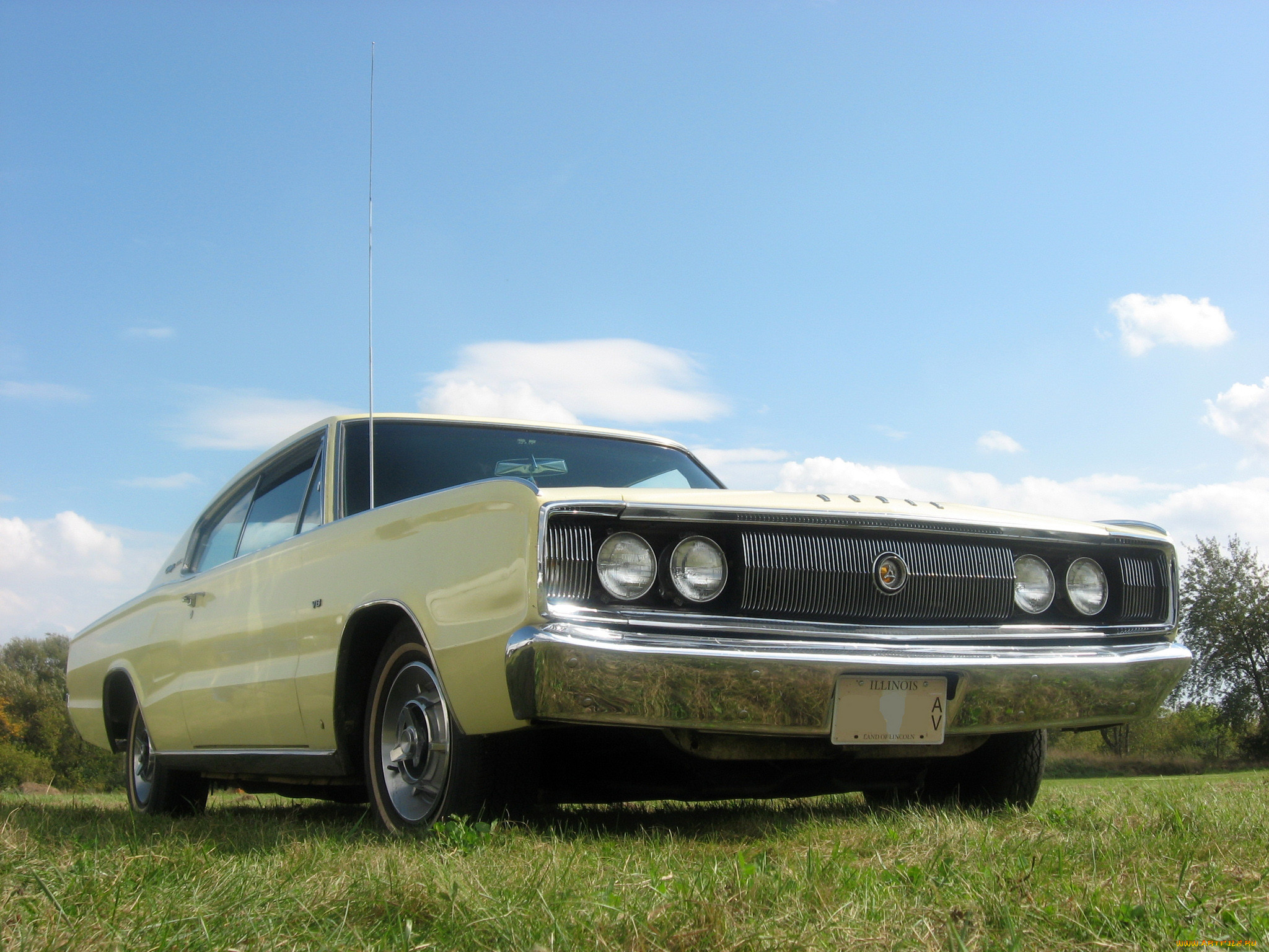 , dodge